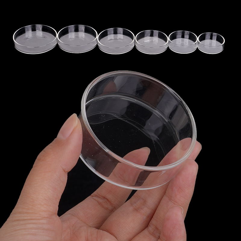Shrimp Feeding Dish High Trans - Aquarium Fish Feeder ulasan dan harga