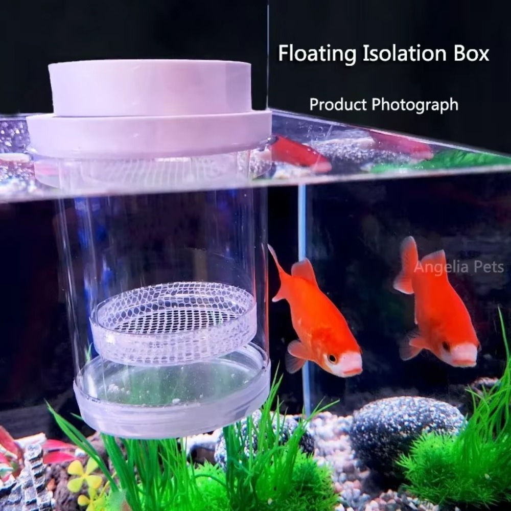 Plastic Floating Fish Breeding - Aquarium Fish Feeder ulasan dan harga