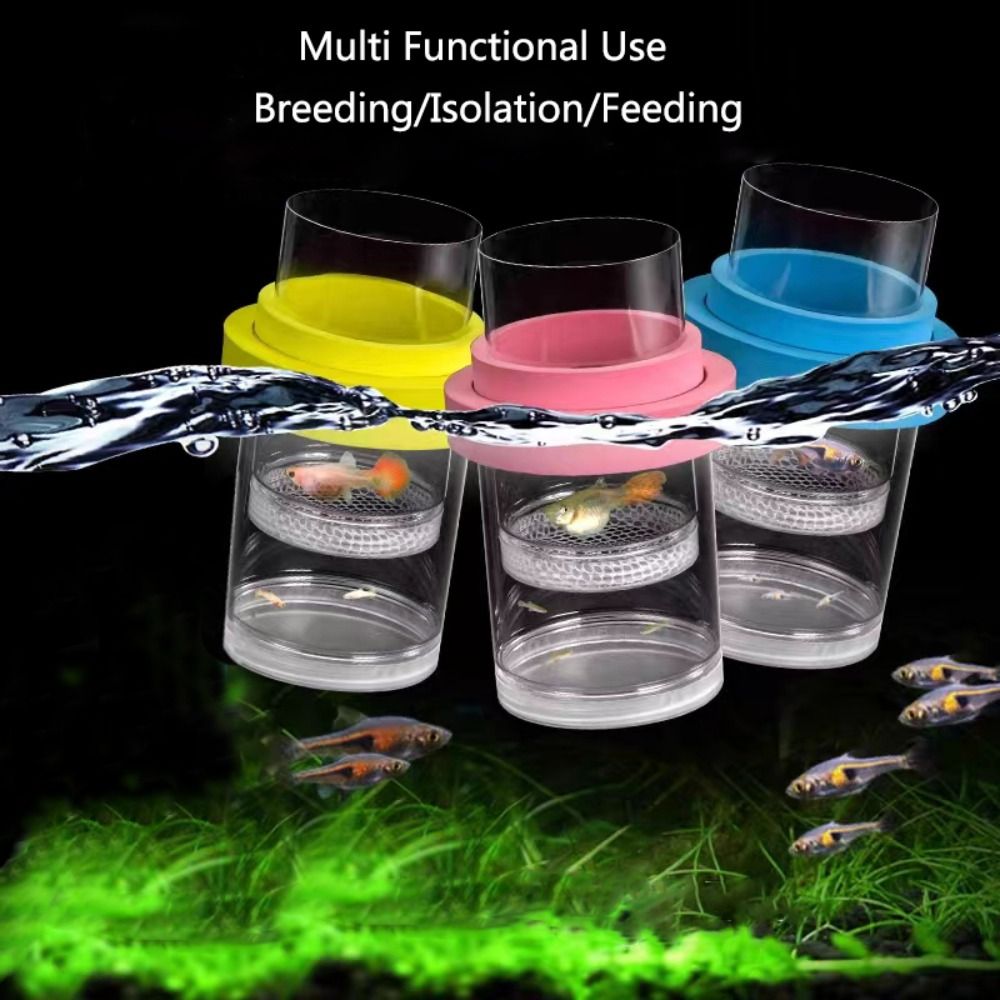 Plastic Floating Fish Breeding - Aquarium Fish Feeder ulasan dan harga