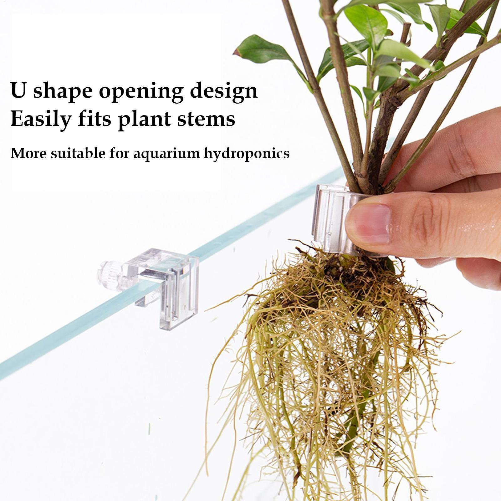 Mini Fish Tank Planter Pot 6Pc - Aquarium Fish Feeder ulasan dan harga
