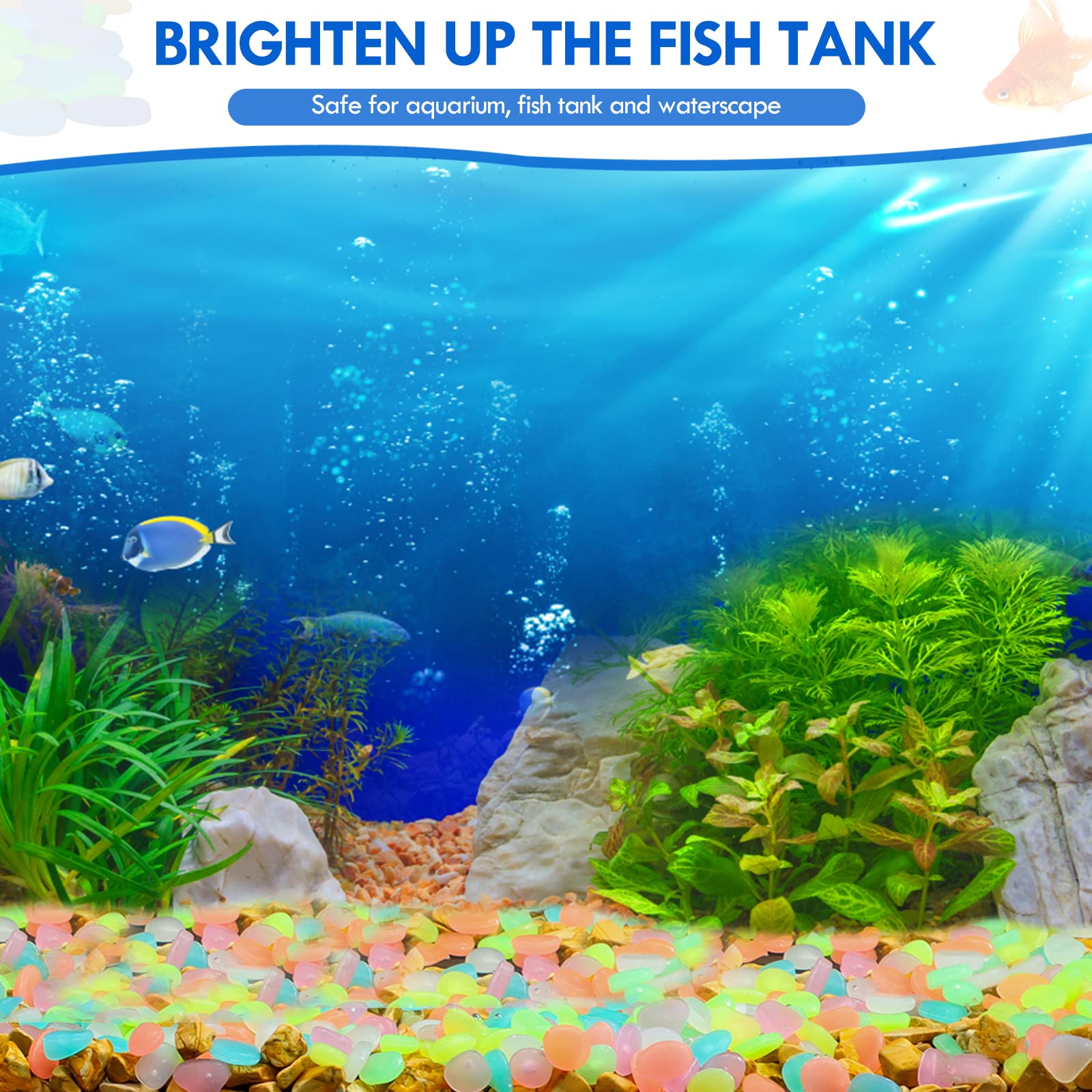 100Pcs Glow in the Dark Garden - Aquarium Fish Glow In The Dark ulasan dan harga