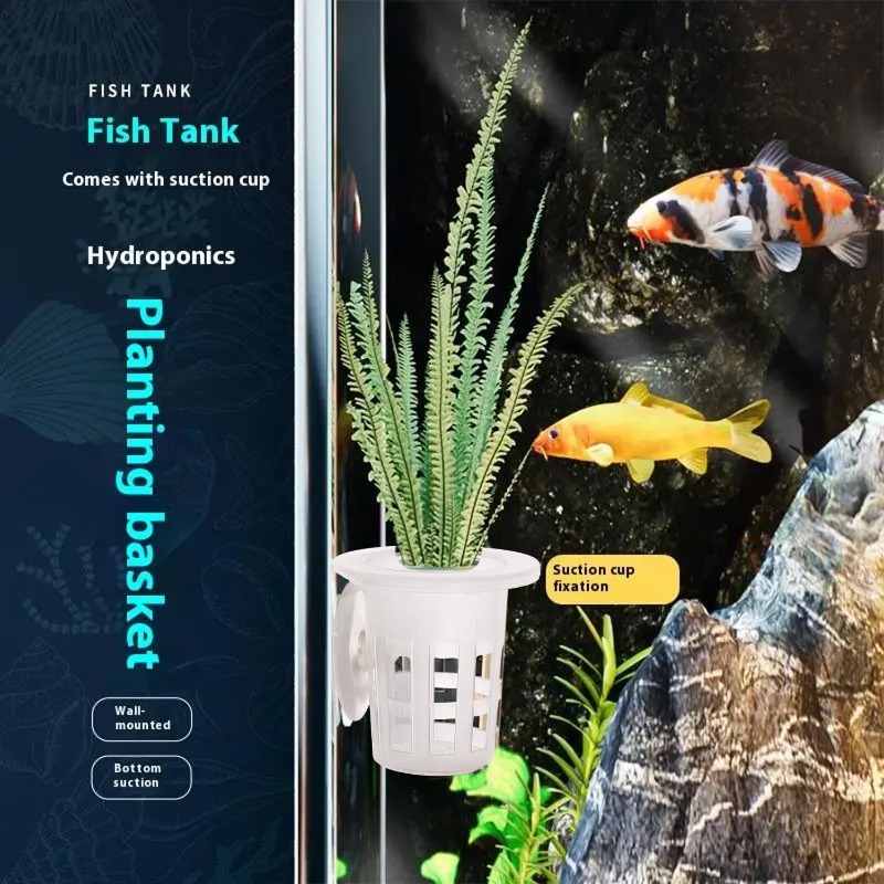 10/20/30Pcs Plastic Aquarium P - Aquarium Fish Enrichment ulasan dan harga