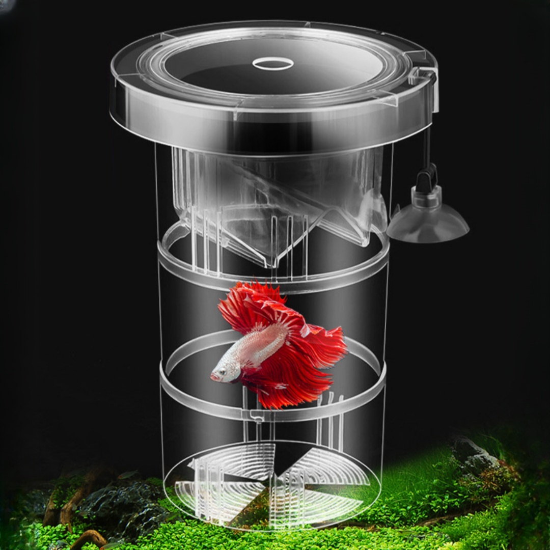 Acrylic Floating Fish Breeding - Aquarium Fish Auto Feeder ulasan dan harga