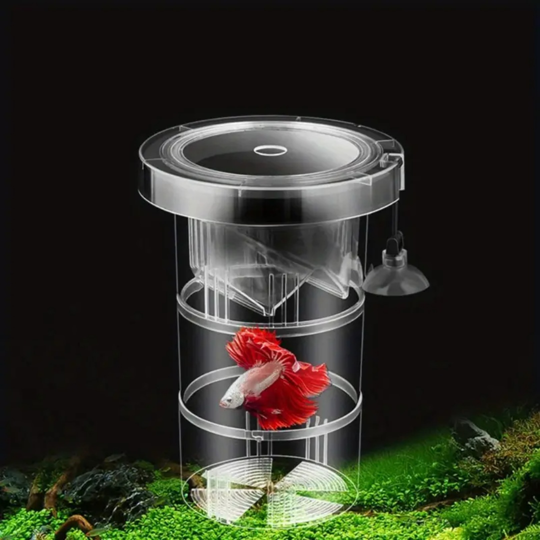 Acrylic Floating Fish Breeding - Aquarium Fish Auto Feeder ulasan dan harga