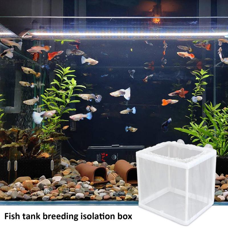 Fish Breeder Box with Suction, - Aquarium Fish Net ulasan dan harga