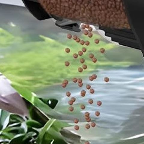 Fish Feeder Automatic 100ml Ca - Aquarium Fish Auto Feeder ulasan dan harga