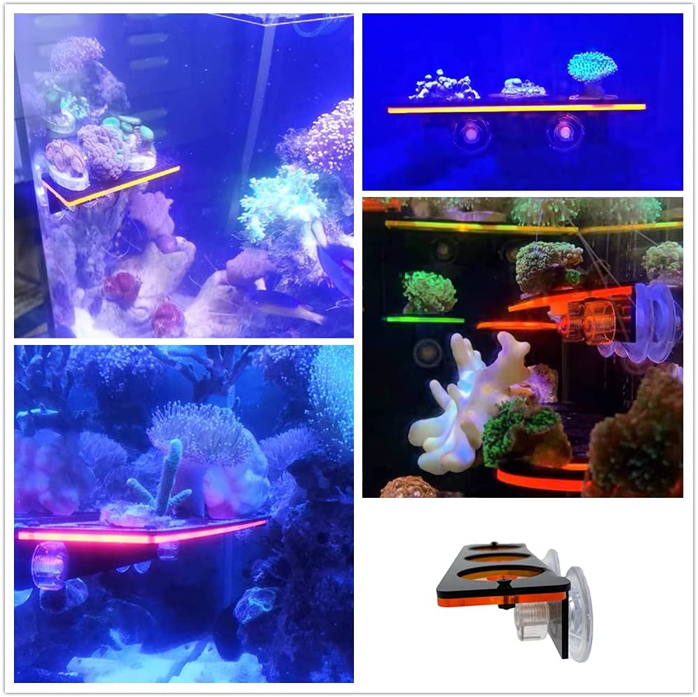 Fluorescent Coral Frag Plug Br - Aquarium Fish Enrichment ulasan dan harga